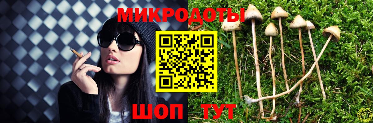 Псилоцибиновые грибы MAGIC MUSHROOMS Алейск