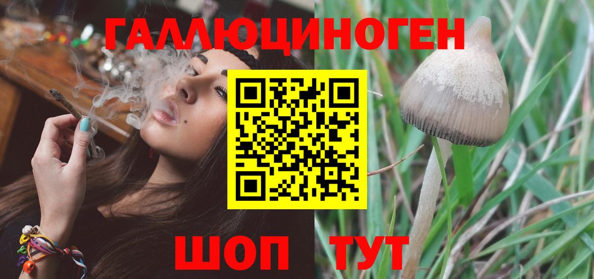 Алейск  Псилоцибиновые грибы GOLDEN TEACHER  Галлюциногенные грибы мухоморы  Вход с VPN 